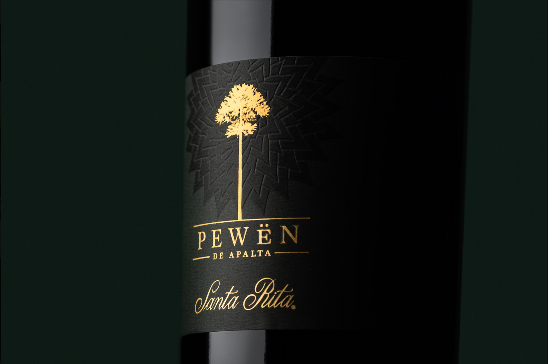 Pewën de Apalta 2023 se consagra como o melhor Carmenère do mundo